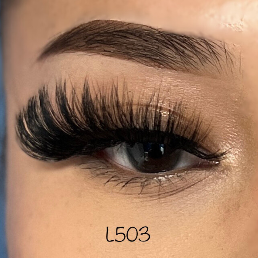 L503
