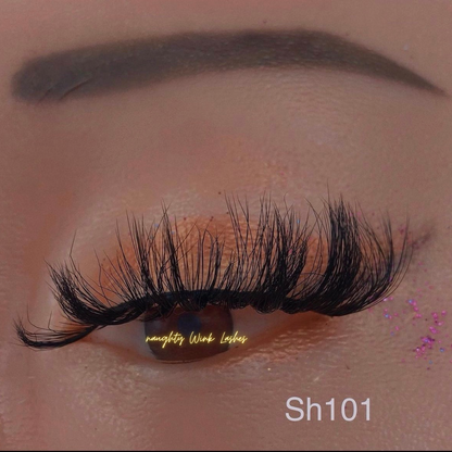 Sh101
